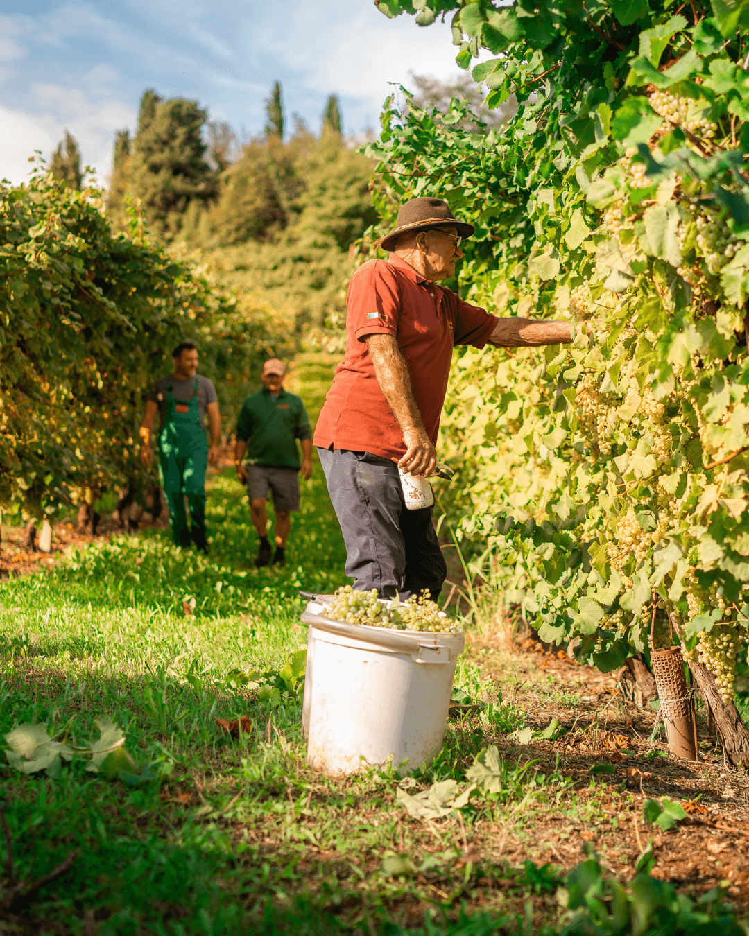 la-tordera-manifesto
